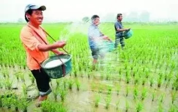 中央一號(hào)文件來了 加快農(nóng)業(yè)農(nóng)村現(xiàn)代化!連續(xù)18年聚焦三農(nóng)